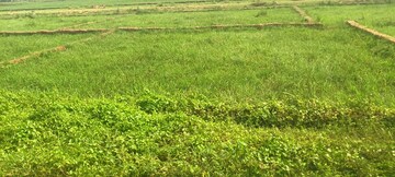 Plot Area in  Plot at Homebase Panchamukhi Lites, Atala – for Sale
