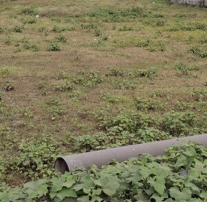  Plot For Sale in Aundh