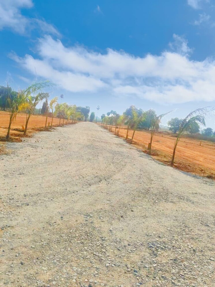 Exterior View, patancheru shankarpalli road  151 Sq.Yd. Plot In Patancheru Shankarpalli Road Hyderabad 9318917