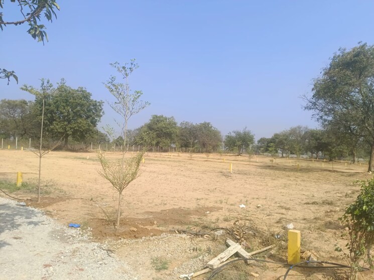 undefined, patancheru shankarpalli road  151 Sq.Yd. Plot In Patancheru Shankarpalli Road Hyderabad 9318917