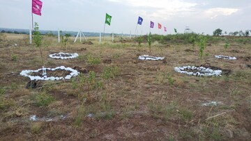 Plot Area in  Plot at Narayankhed – for Sale