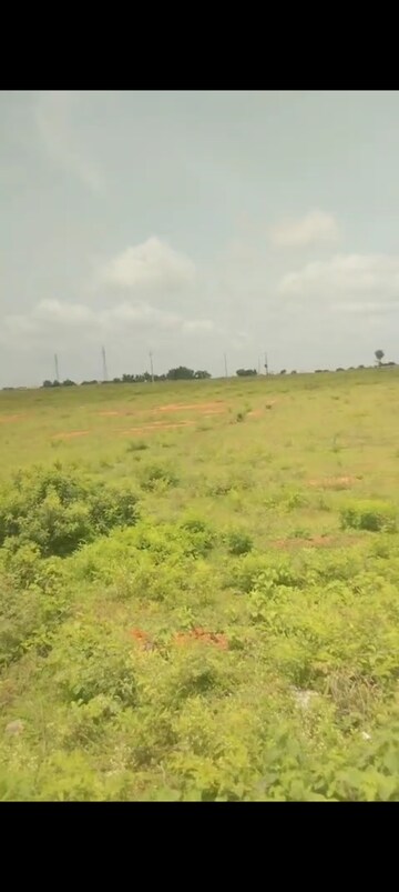 Plot Area in  Land at Krishnanagar – for Sale