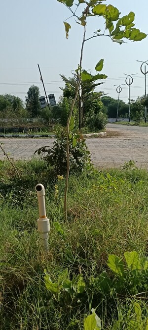  Industrial Plot For Sale in Sitarampura