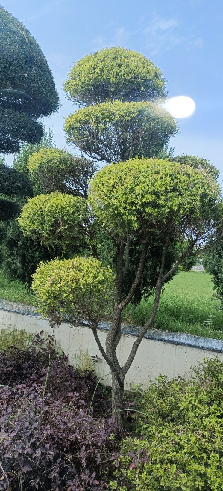 Garden, kailasha-enclave  5000 Sq.Ft. Plot In Sultanpur Road Lucknow 9319247