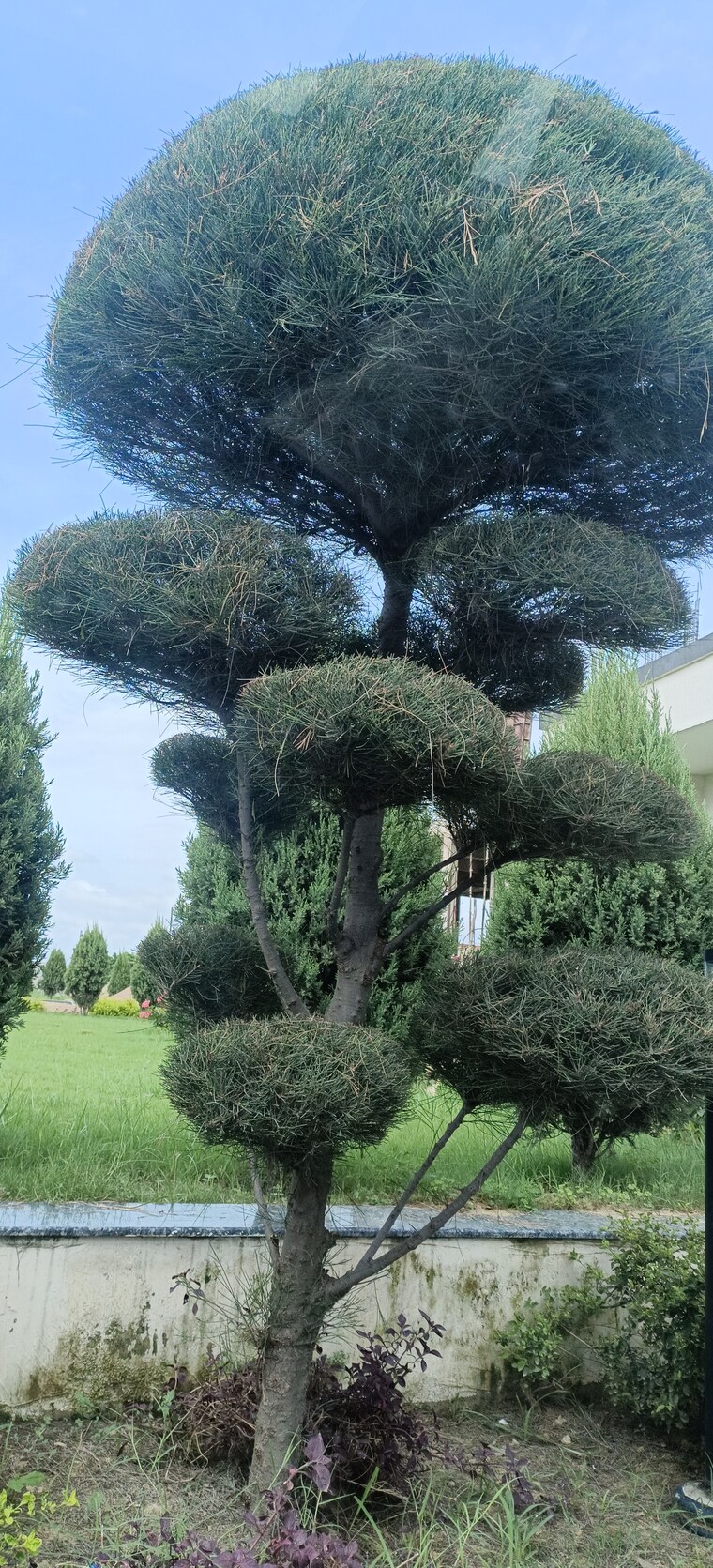 Garden, kailasha-enclave  5000 Sq.Ft. Plot In Sultanpur Road Lucknow 9319247