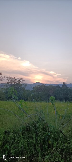  Plot For Sale in Velhe