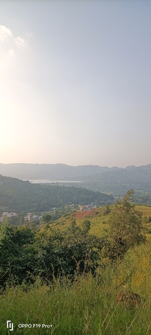 Plot Area in  Plot at Velhe – for Sale