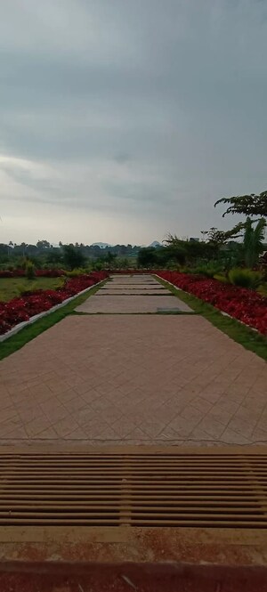  Plot For Sale in Chikkaballapur