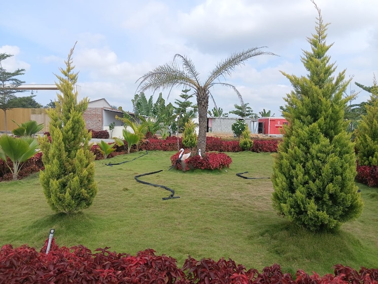 Garden, chikkaballapur  4000 Sq.Ft. Plot In Chikkaballapur Bangalore 9319302
