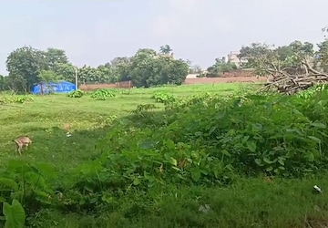 Plot Area in  Plot at Bit Mesra – for Sale