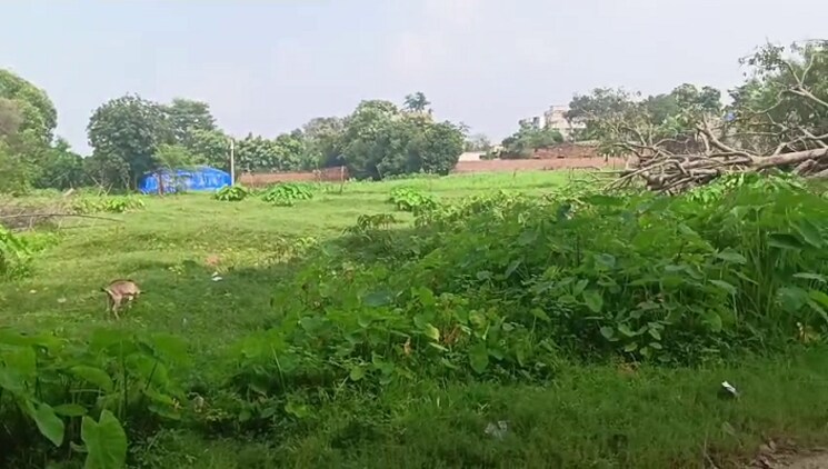 undefined, bit mesra  2178 Sq.Ft. Plot In Bit Mesra Ranchi 9319301