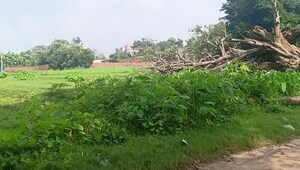 Plot Area in  Plot at Bit Mesra – for Sale