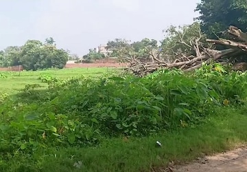 Plot Area in  Plot at Bit Mesra – for Sale