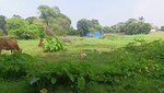 2178 Sq.Ft. Plot in Bit Mesra