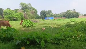  Plot For Sale in Bit Mesra