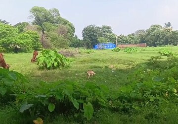 Plot For Sale in Bit Mesra