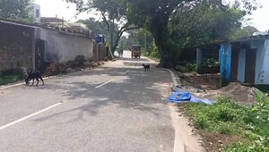  Plot – Exterior View View at Bit Mesra - for Sale