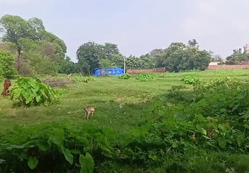 Plot Area in  Plot at Bit Mesra – for Sale