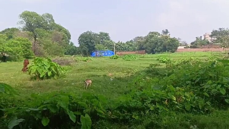 undefined, bit mesra  2178 Sq.Ft. Plot In Bit Mesra Ranchi 9319301