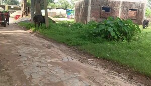 Plot Area in  Plot at Bit Mesra – for Sale