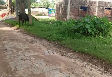 Plot Area in  Plot at Bit Mesra – for Sale