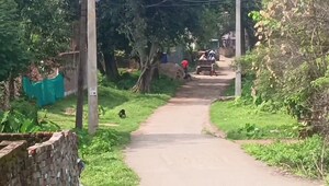  Plot – Exterior View View at Bit Mesra - for Sale