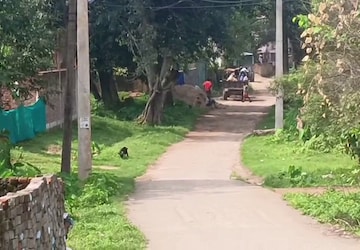 Plot – Exterior View View at Bit Mesra - for Sale