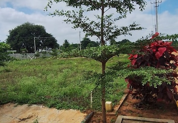 Plot – Garden View at Hoskote Malur Road - for Sale