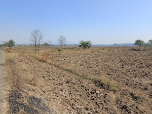  Land For Sale in Dronagiri