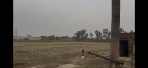 Plot Area in  Plot at Sewah – for Sale