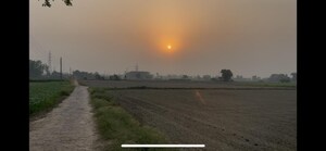 Plot Area in  Plot at Sewah – for Sale