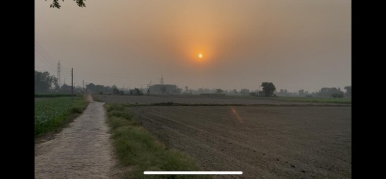 undefined, sewah  31 Acre Plot In Sewah Panipat 9319397