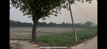 Plot Area in  Plot at Sewah – for Sale