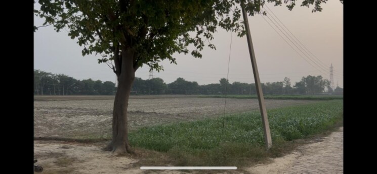 undefined, sewah  31 Acre Plot In Sewah Panipat 9319397