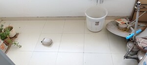 1 BHK Apartment For Rent in Rohan Prathama, Hinjewadi