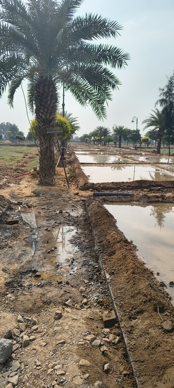 Plot Area in  Plot at Jattari – for Sale