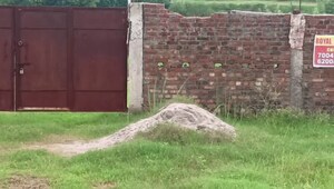  Land – Garden View at Sukurhuttu - for Sale