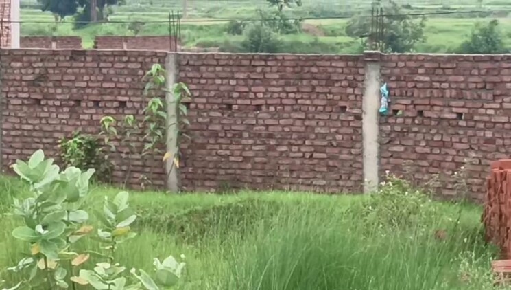 Garden, sukurhuttu Commercial Land 2178 Sq.Ft. In Sukurhuttu Ranchi 9319580