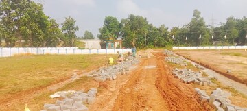 Plot Area in  Plot at Kothavalasa – for Sale