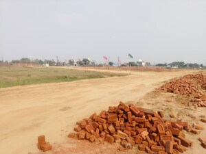 Plot Area in  Plot at Sujanpur – for Sale