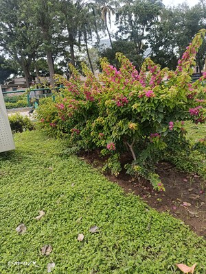 3 BHK Independent House – Garden View at Chikkaballapur - for Sale