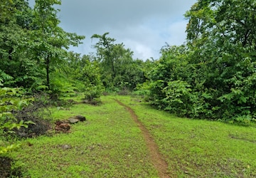 Plot For Sale in Mangaon