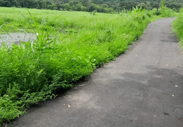 Plot For Sale in Mangaon