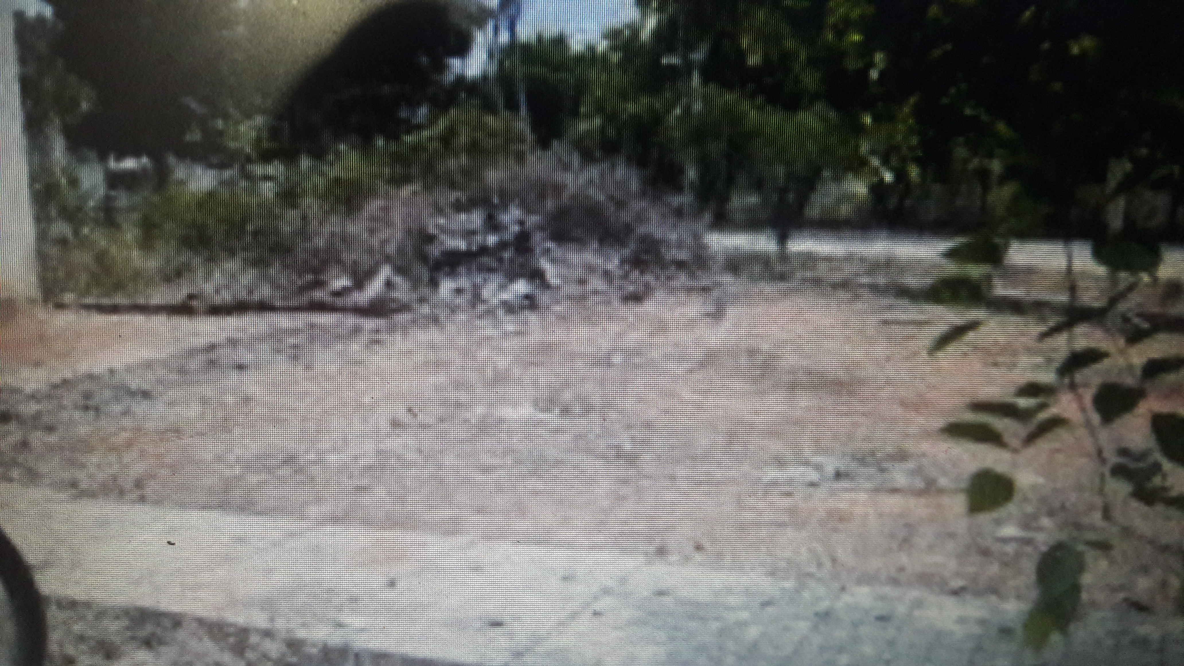 Plot For Sale in Kirti Avenue Vidyaranyapura