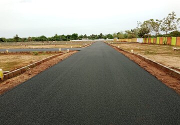 Plot Area in  Plot at Allithurai – for Sale