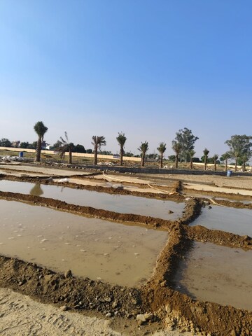 Plot For Sale in Sector 29