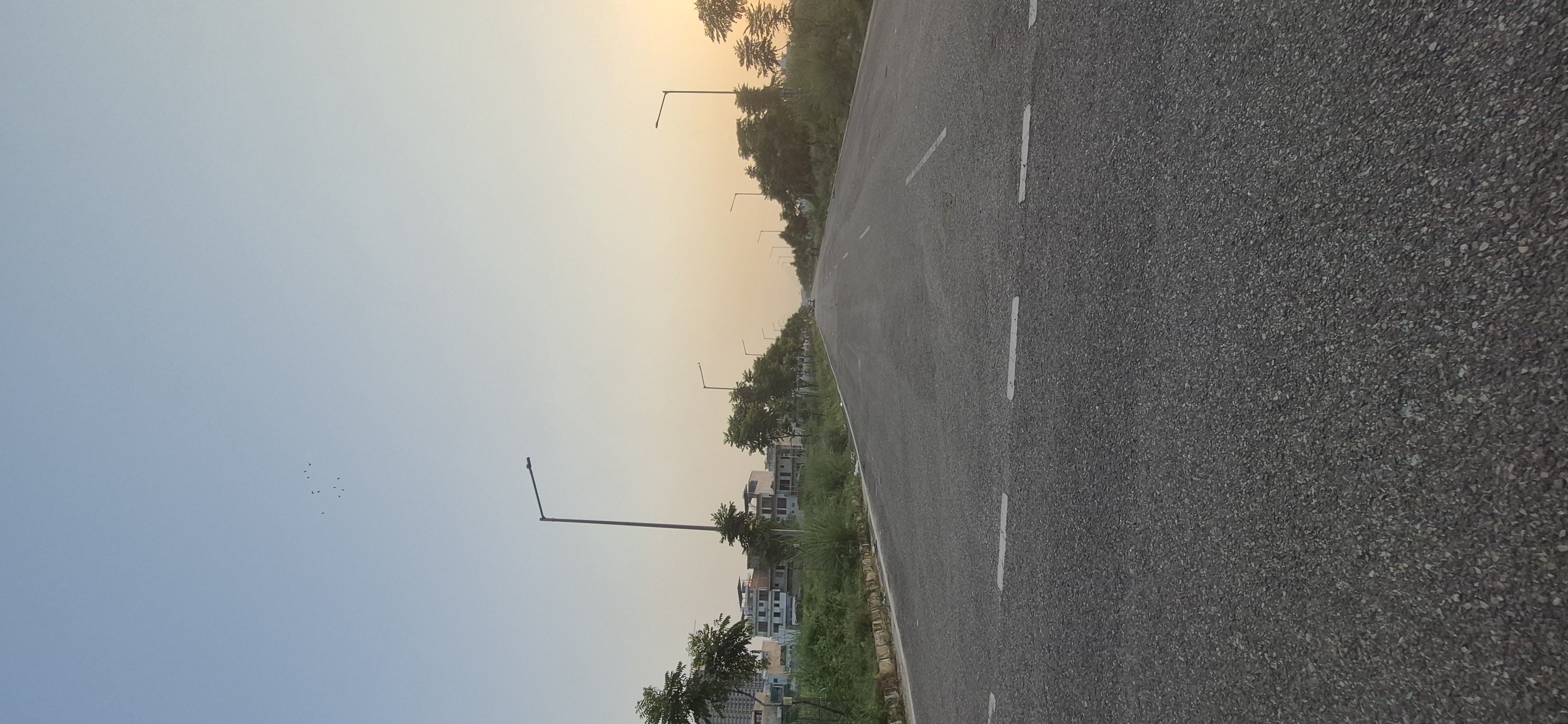 Plot For Sale in Sector 66 B