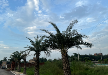 Plot Area in 3 BHK Builder Floor at Faridpur – for Sale