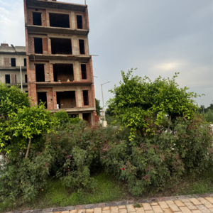 3 BHK Builder Floor – Exterior View View at Faridpur - for Sale