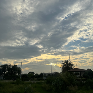 Plot Area in 3 BHK Builder Floor at Faridpur – for Sale